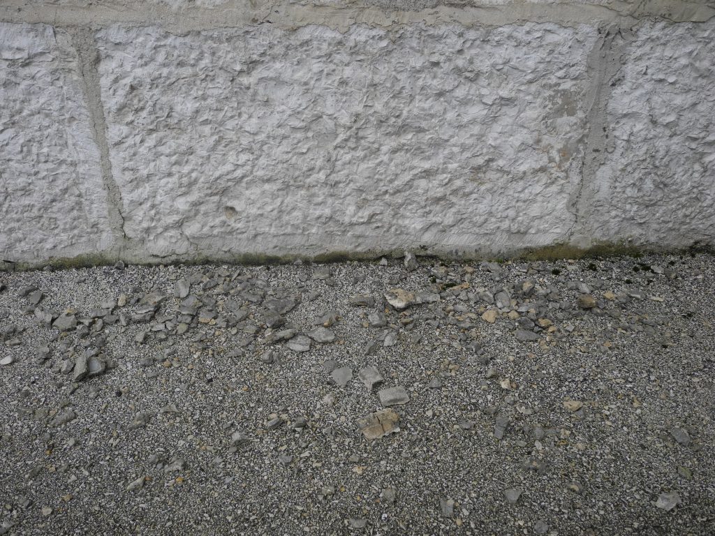 dscn5179