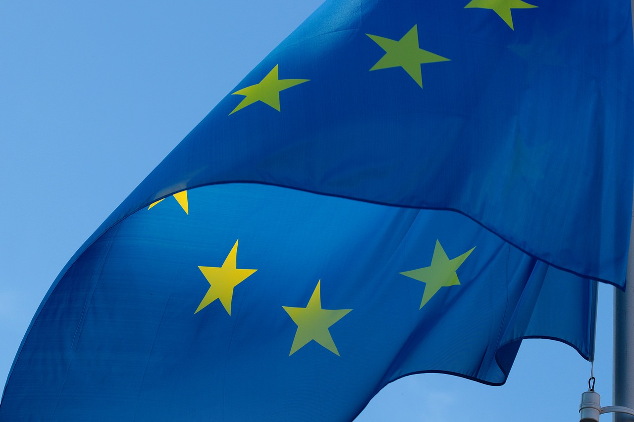 Les élections européennes à la chenalotte (1979 – 2014)