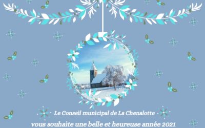 Bonne année aux Sauterelles !