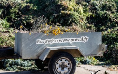 Savez-vous ce que deviennent les végétaux que vous déposez en déchèterie?