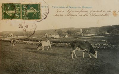 Les épidémies de fièvre aphteuse à La Chenalotte entre 1899 et 1940