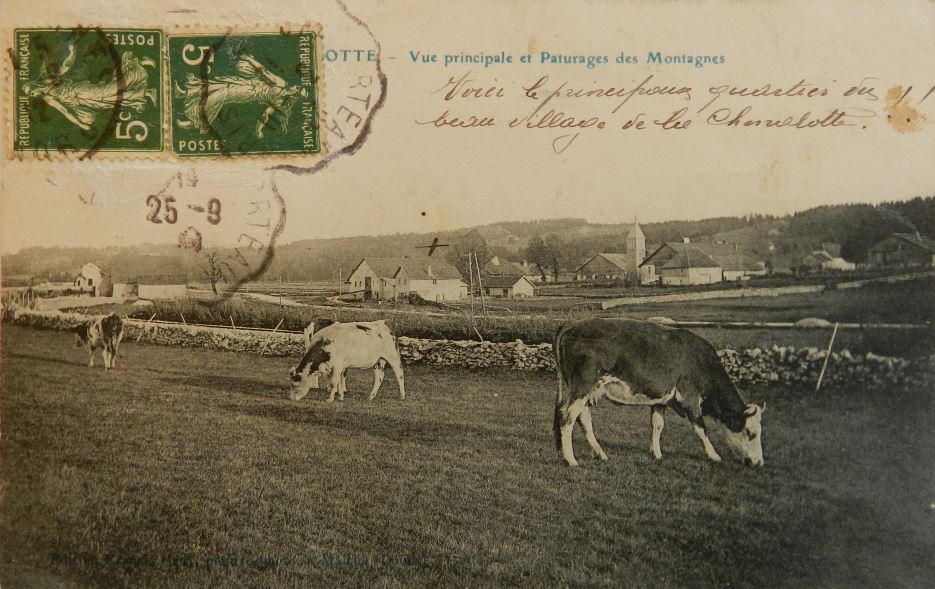 Les épidémies de fièvre aphteuse à La Chenalotte entre 1899 et 1940