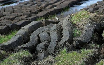De la tourbe pour les Sauterelles : l&rsquo;exploitation des tourbières au XIXème siècle