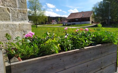 Fleurissement du village