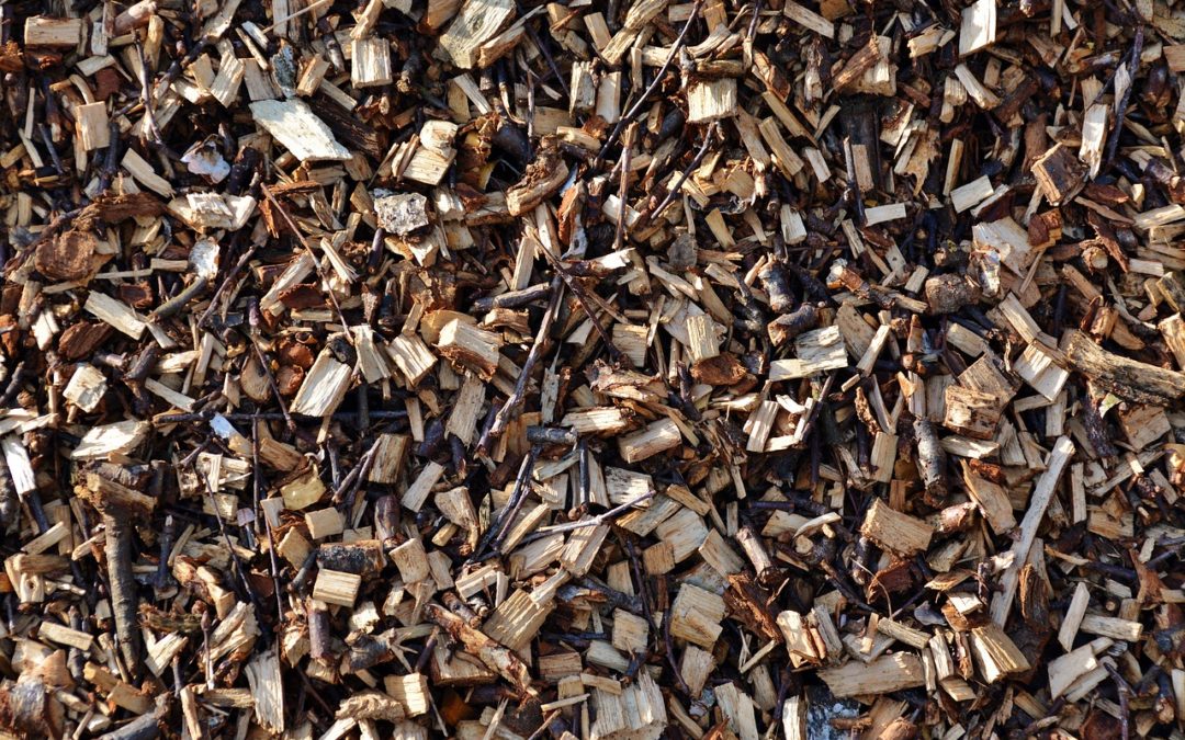 Création d&rsquo;une chaufferie bois et d&rsquo;un réseau de chaleur