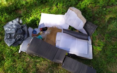 Des jeunes pousses au nettoyage de la nature !