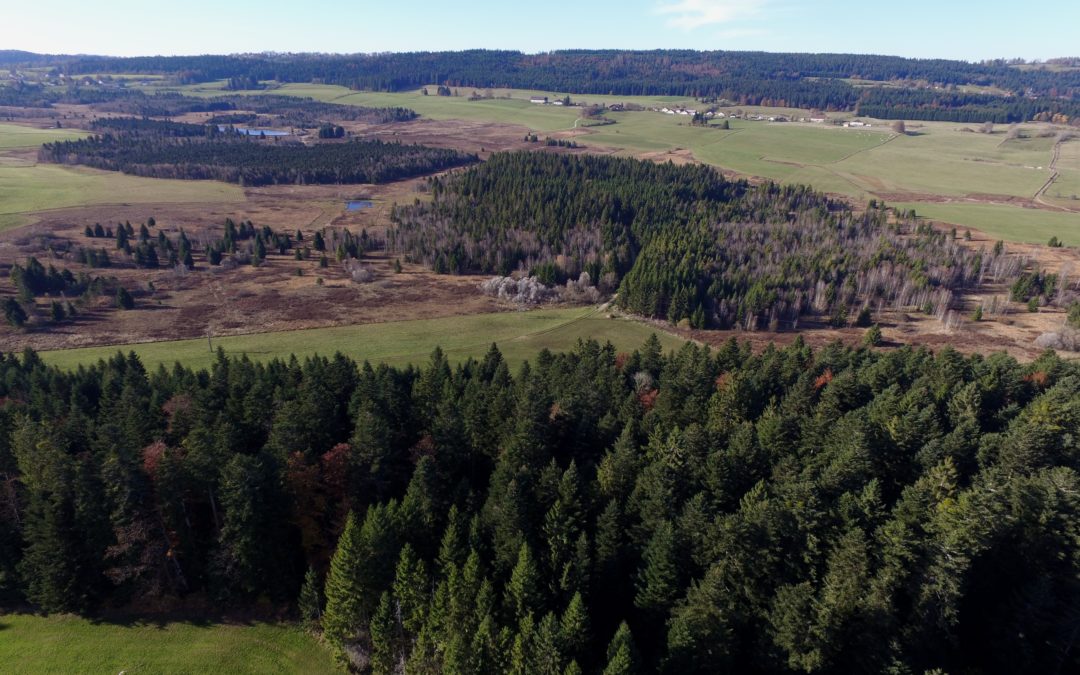 Le complexe tourbeux des Belles-Seignes (Bélieu, Bizot, Noël-Cerneux, La Chenalotte, Le Narbief) : un des projets de Life Climat Tourbières du Jura (2022 – 2029)