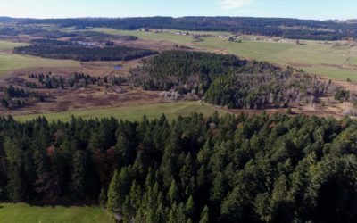Le complexe tourbeux des Belles-Seignes (Bélieu, Bizot, Noël-Cerneux, La Chenalotte, Le Narbief) : un des projets de Life Climat Tourbières du Jura (2022 – 2029)