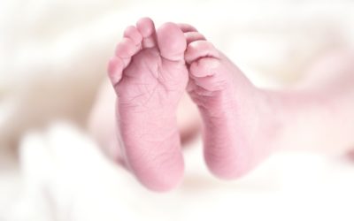 Présentation des bébés nés en 2019