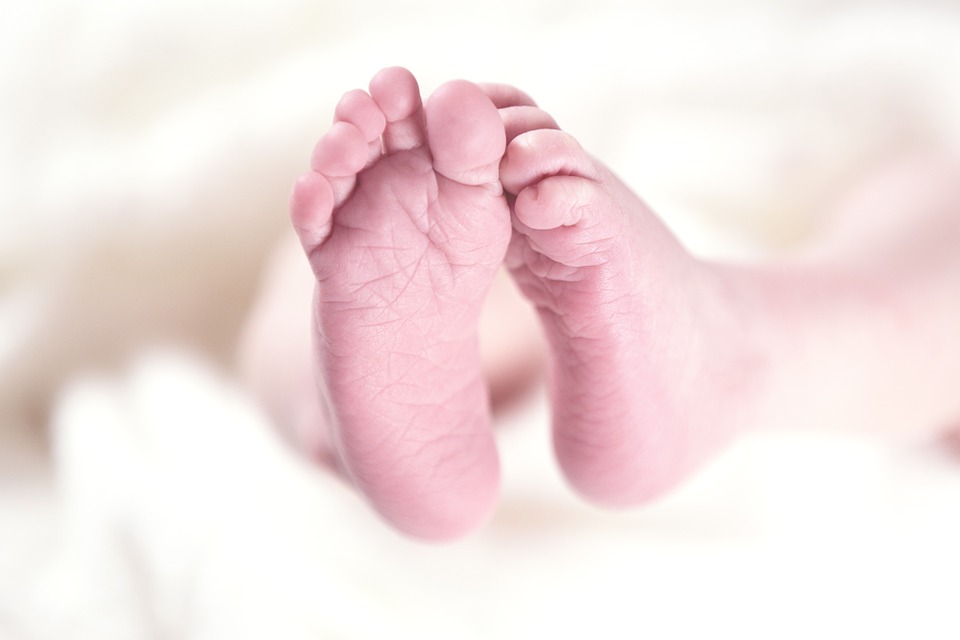 Présentation des bébés nés en 2019