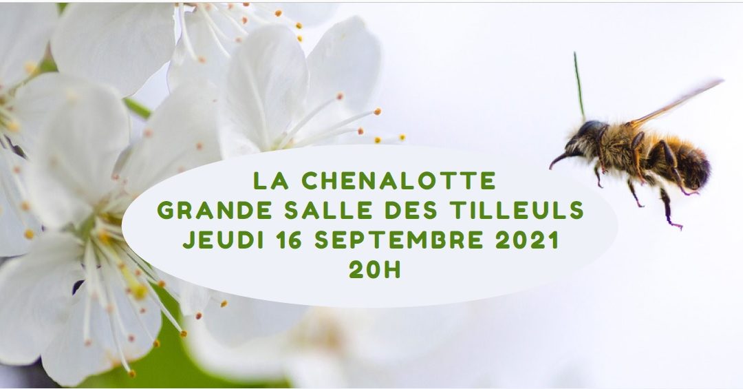 Une conférence sur la disparition des insectes le 16 septembre