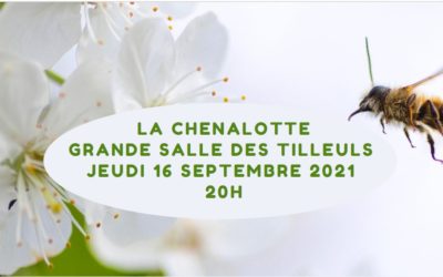 Une conférence sur la disparition des insectes le 16 septembre
