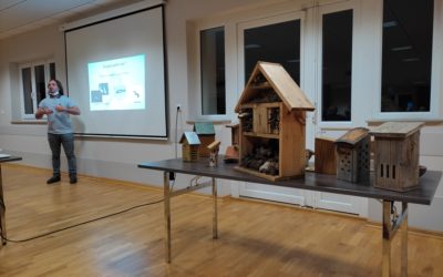 Lutter contre la disparition des insectes